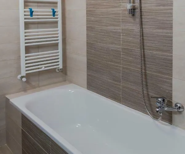 Friendly 布拉索夫