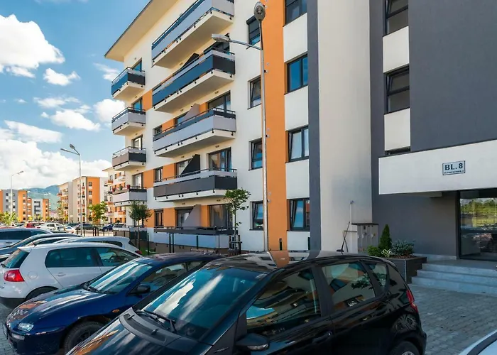 Friendly * 布拉索夫