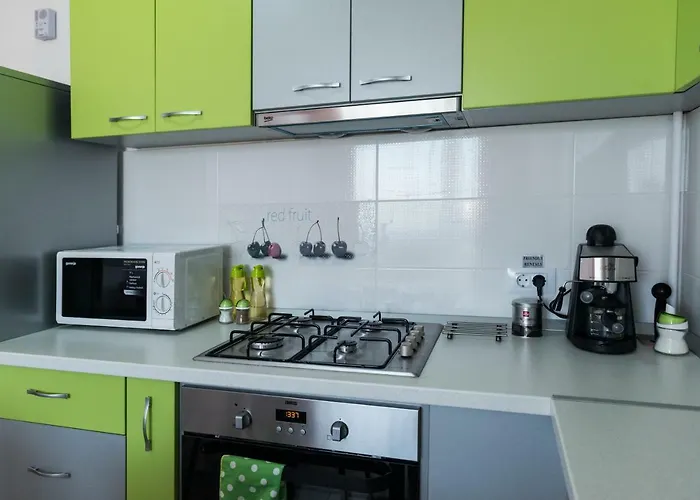 公寓 Friendly 布拉索夫